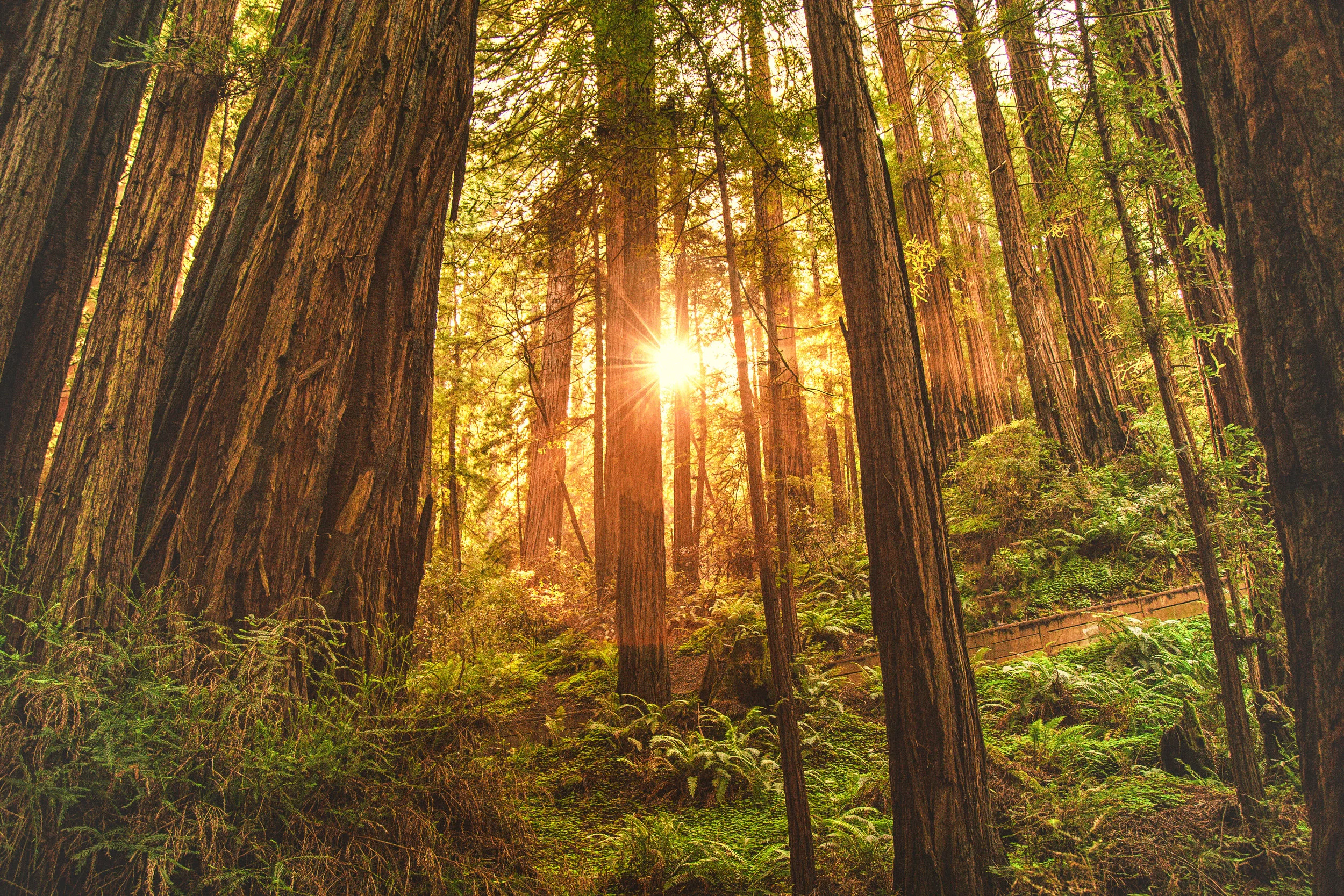 Cultivating a Spirit of Excellence, by Eve Gualtieri