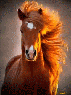I am now beautiful.