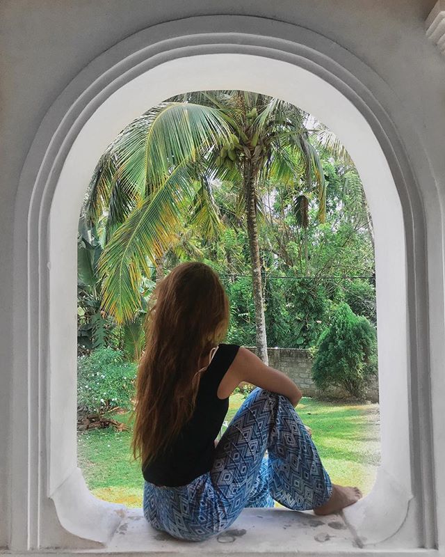 Death by coconut🥥 🏝
.
.
.
.
.
.
.
.
.
#srilankatrip #srilankatravel #jungleland #greenery🌿 #islandlife🌴 #framedesign