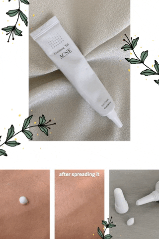 giphy (13).gif