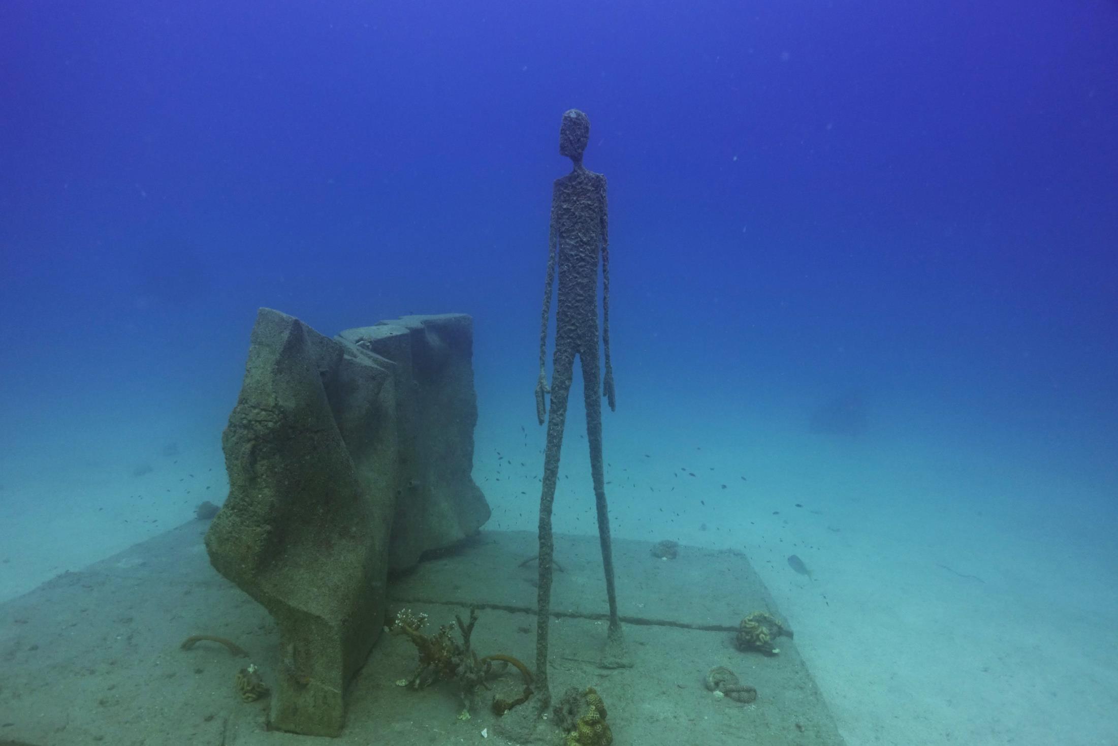 Koh tao underwater museum