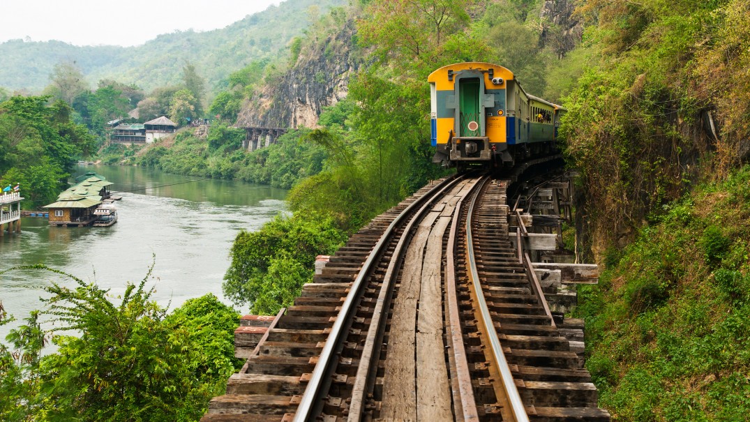 train tracks surrounded by luscious greenery