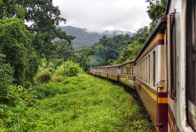 train ride in the jungle