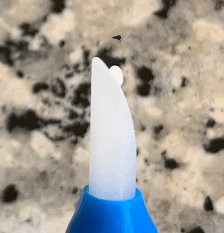 giphy.gif