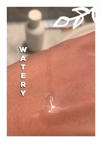 giphy (1).gif