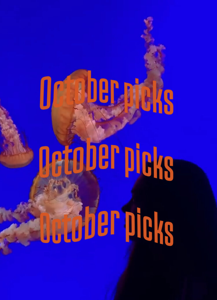 TOP 30 YESSTYLE CLOTHING OUTFIT IDEAS [OCTOBER 2020] 