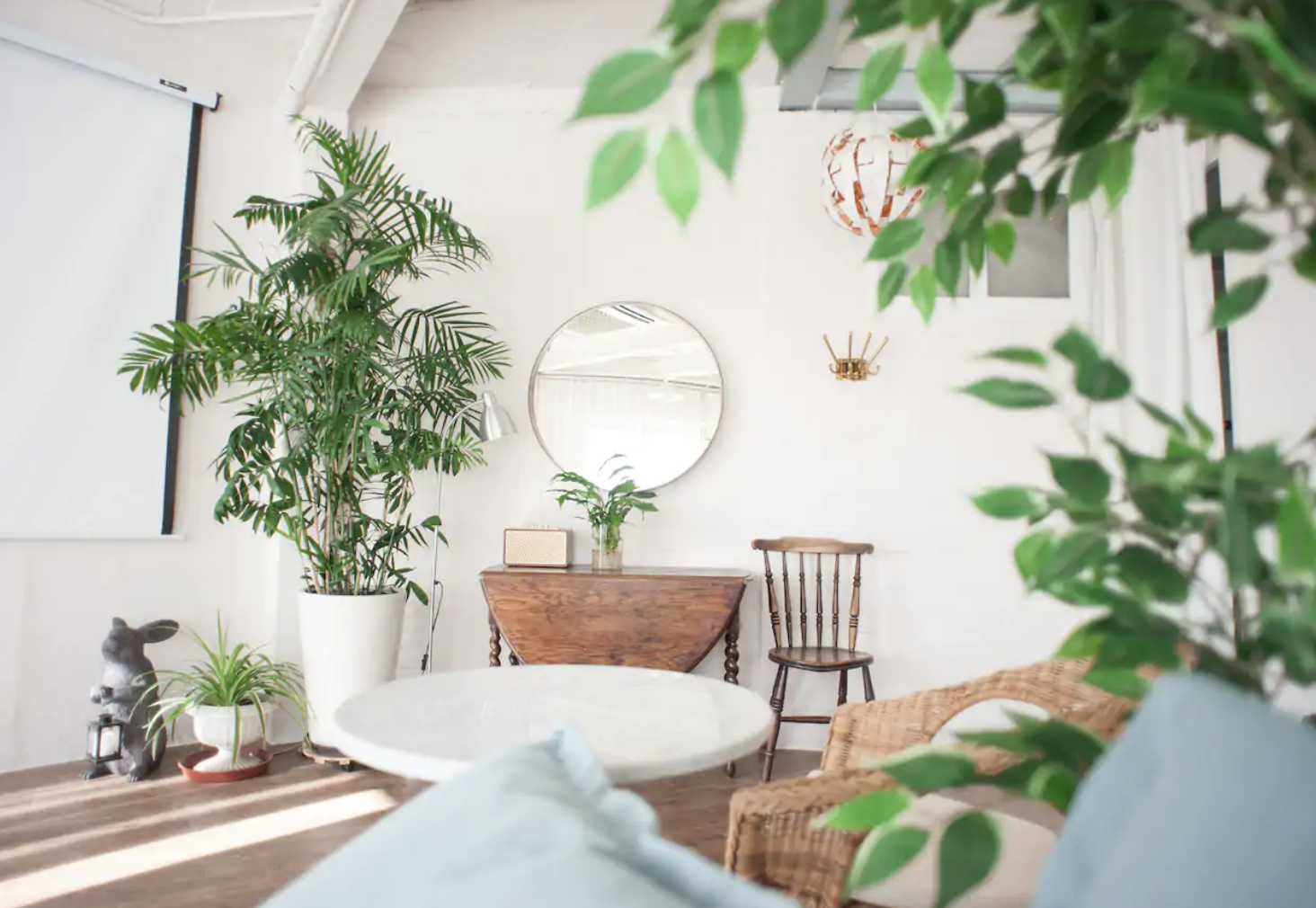 Plant Accents (Copy)