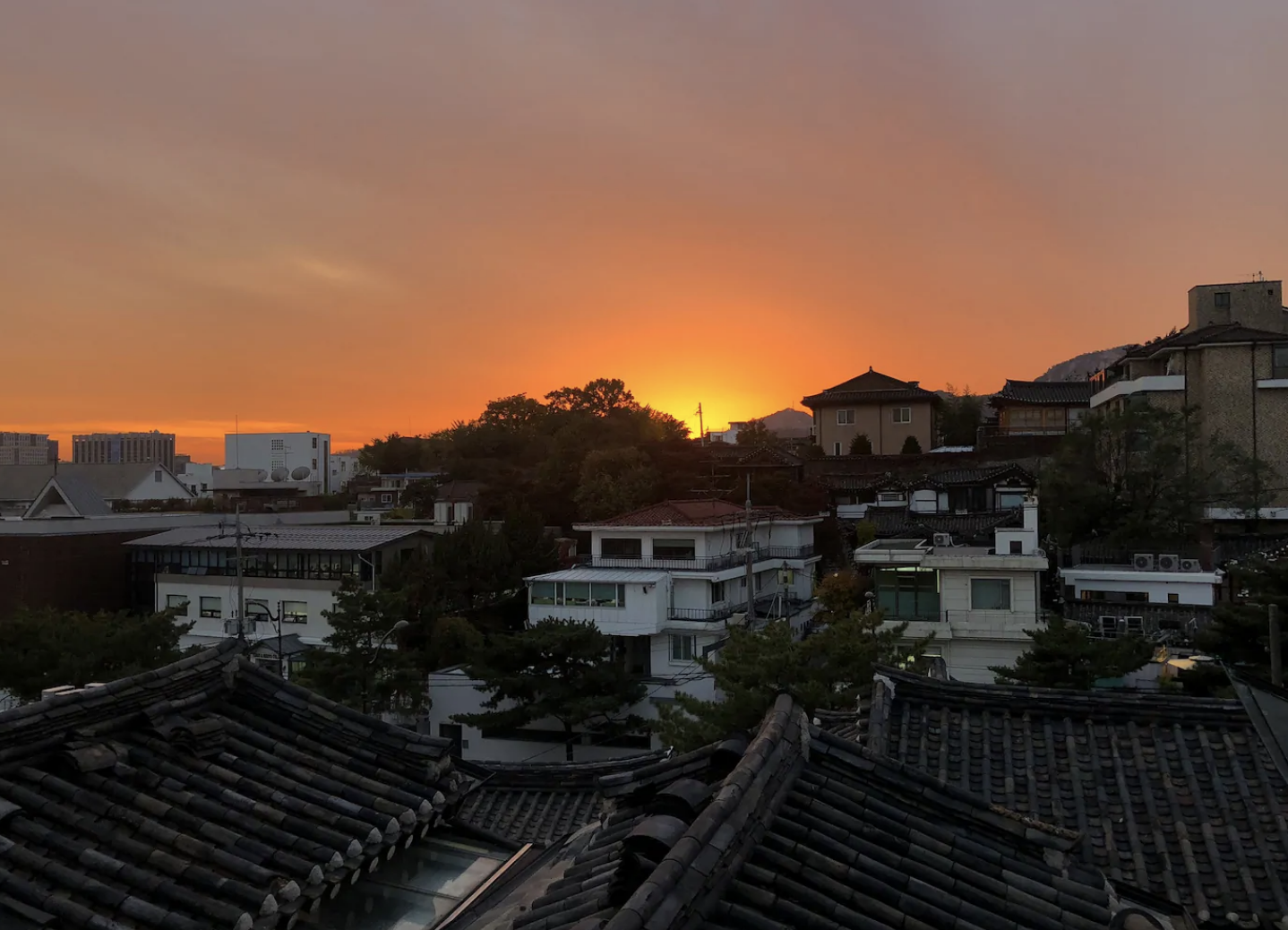 View (Copy)