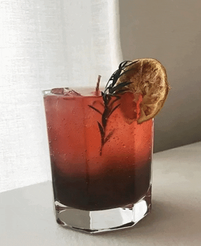 giphy (9).gif
