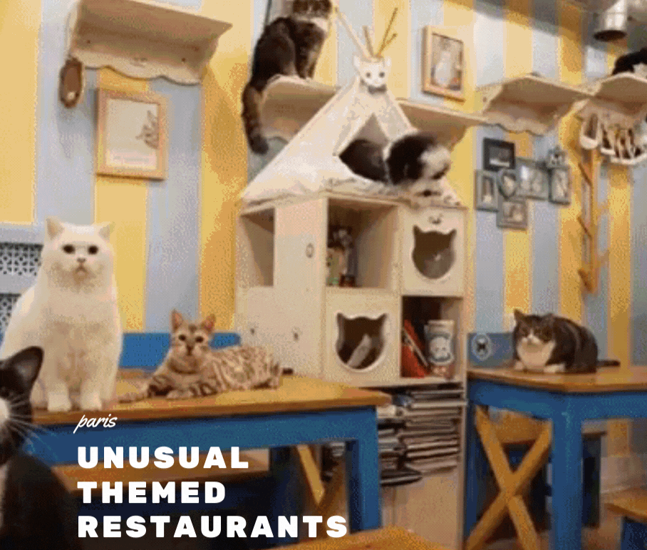 Top 36 Quirky, Weird and Unusual Restaurants In Paris, France