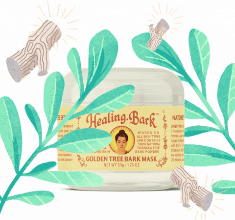 [REVIEW] Healing Bark Golden Tree Bark Mask (Before and After)