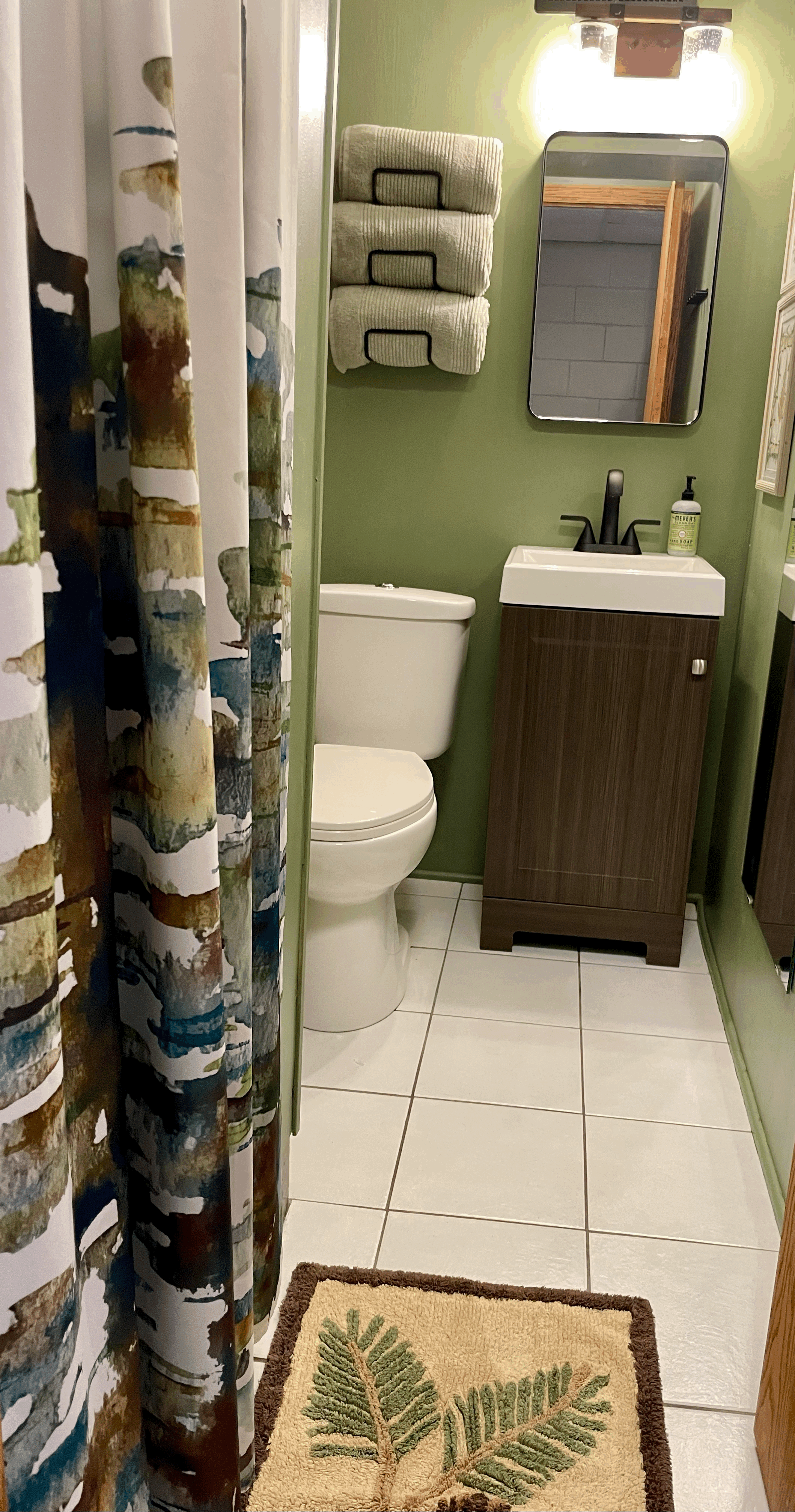Lower level bathroom with shower