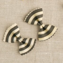 zebra.jpeg