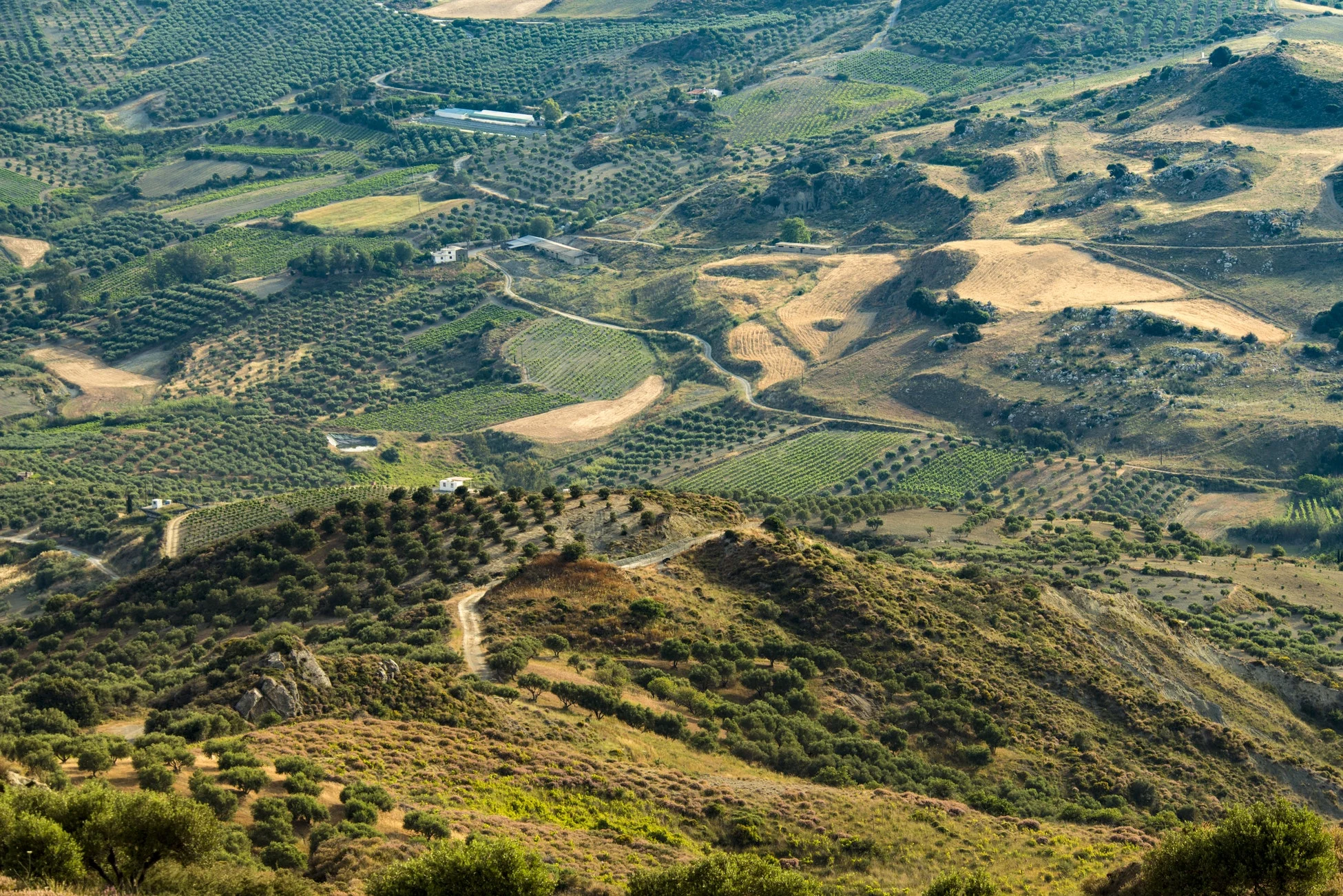 Spain Landscape.jpg