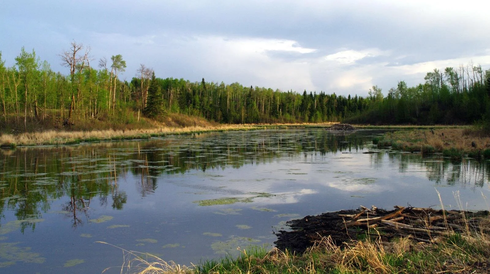 GFoundation ensures safe passage of new surface water bylaw for Beaver County — Global Foundation
