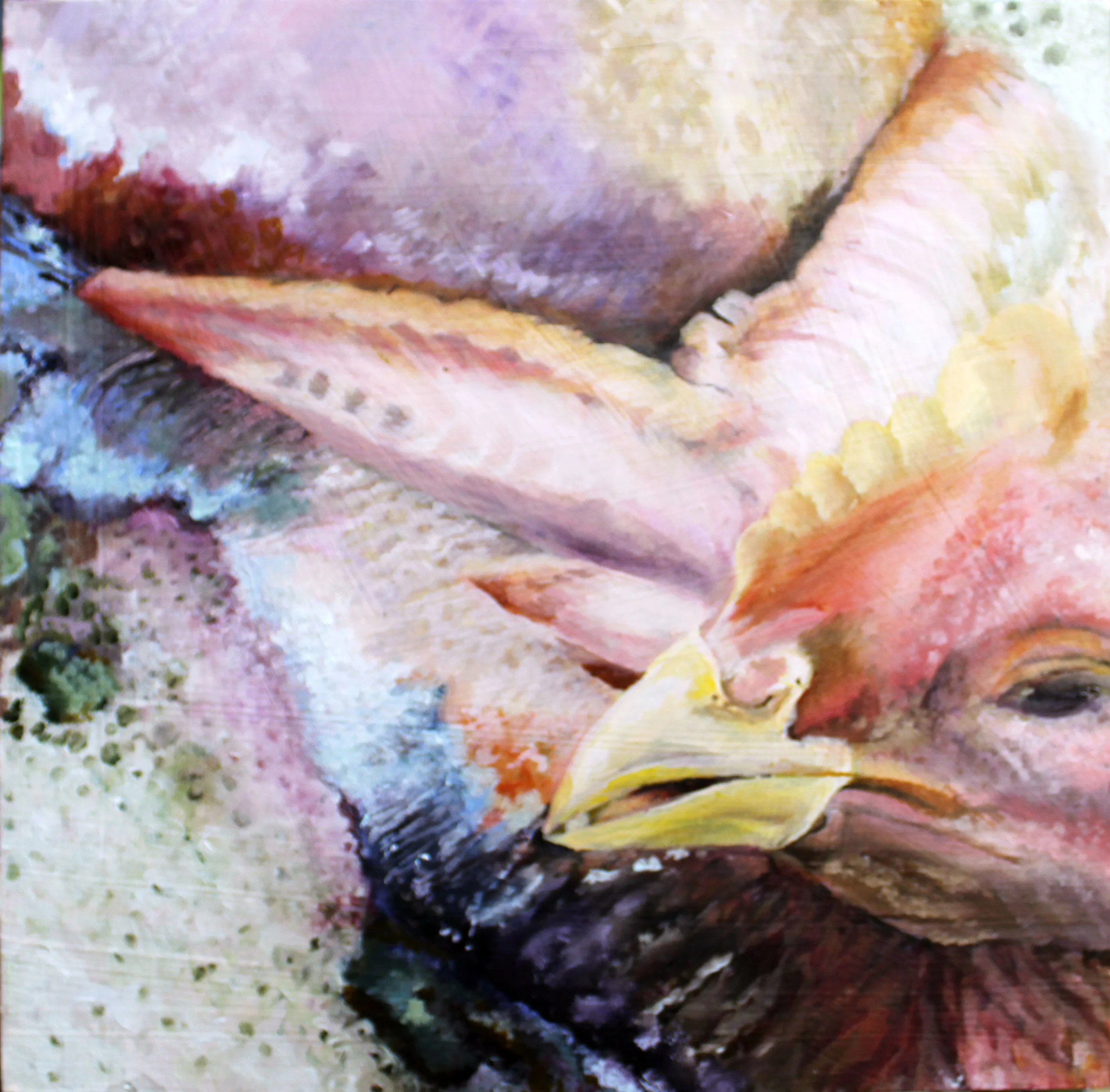 Chicken (Monica Cook Workshop), 2018 Oil paint on wooden panel 12in x 12in.