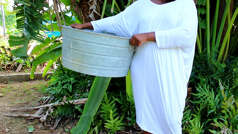 MJodi-Minnis-Sequence-01.jpg