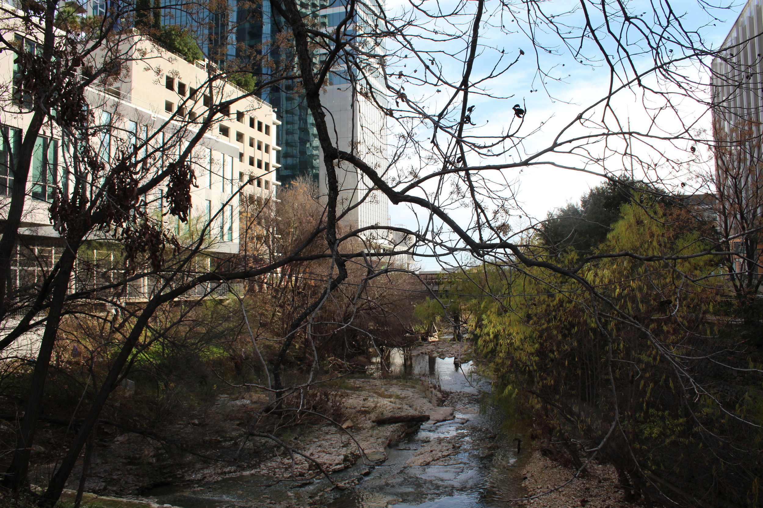 The mouth of Shoal creek as it enters the Colorado River