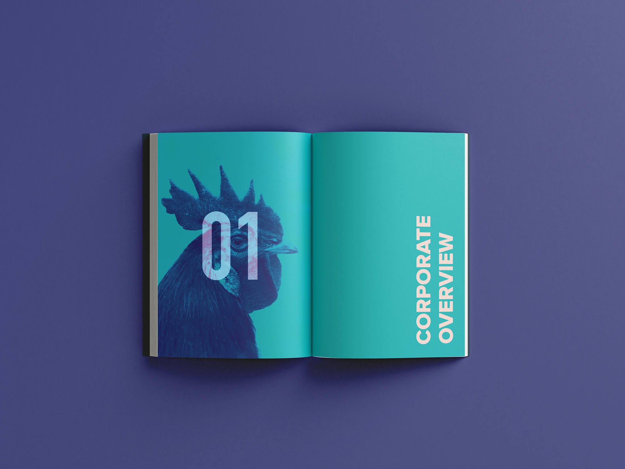 hester-biosciences-annual-report-ruchikanambiar-design5.jpg