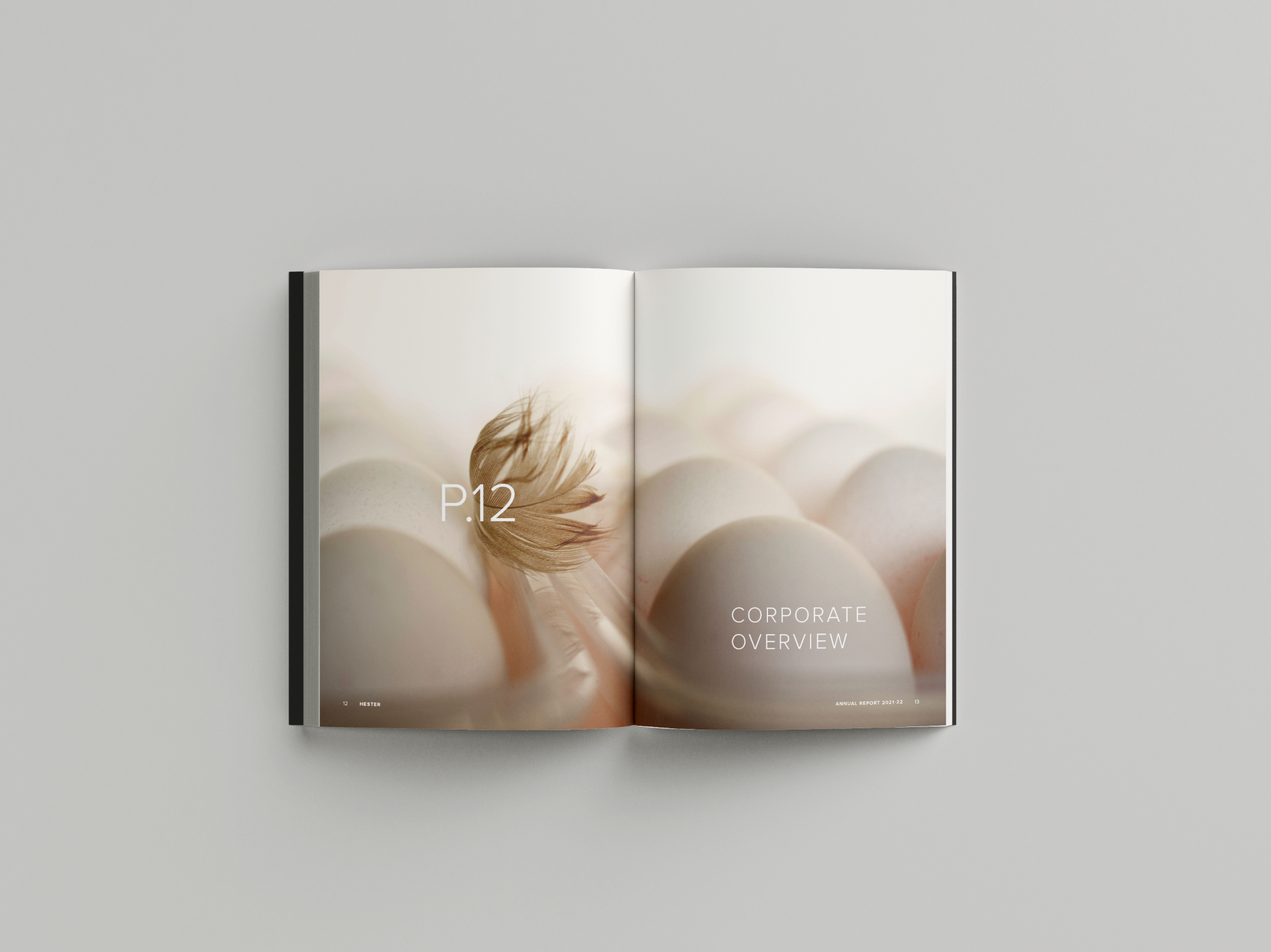 HAR25-Mockup-5.png