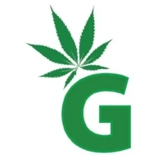 Legal and Illegal North American Cannabis Sales Outpace Starbucks, McDonald’s in 2016