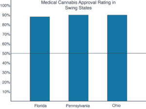 Medical Cannabis Sees Overwhelming Support in Key Swing States