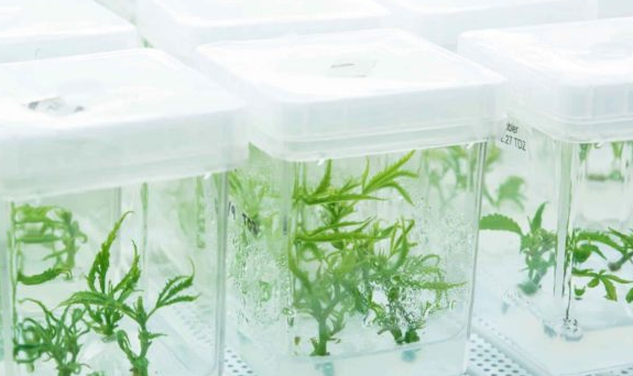 Front Range Biosciences Raises $10 Million in Series A Financing