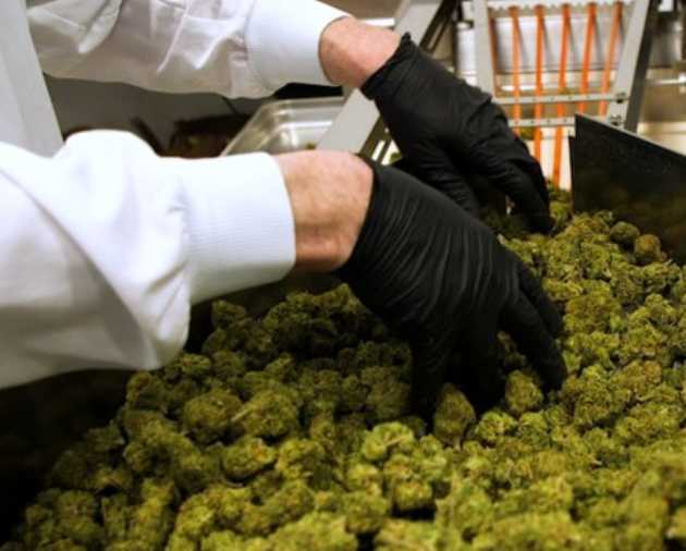 Flow Kana is one of the largest cannabis companies in California, but it doesn't grow any of its own weed