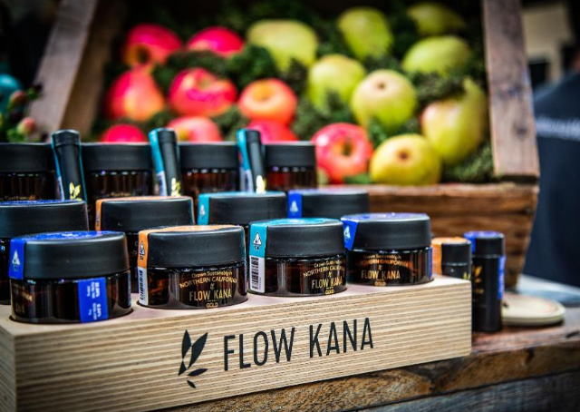 Five Succinct Questions With Michael Steinmetz- Founder: Flow Kana