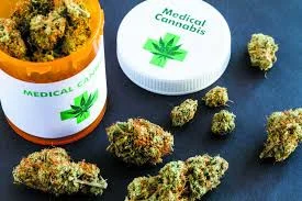 Popularity of U.S. Medical-Use Markets Far Outpaces Federal Policies