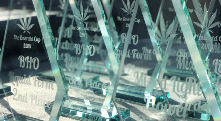 M Plant Productions’ topical Rewind took second place at Emerald Cup