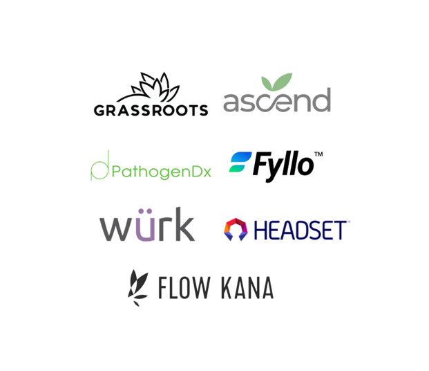 7 Salveo Capital portfolio companies listed on Business Insiders' 15 buzziest cannabis startups to bet on in 2020