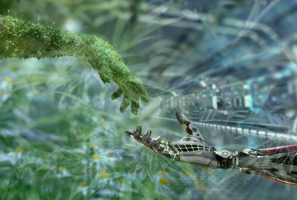 3 Companies Leading Tech Innovation In The Cannabis Sector