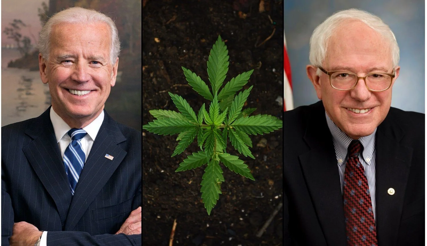 Most Members Of New Biden-Sanders Criminal Justice Task Force Back Marijuana Legalization