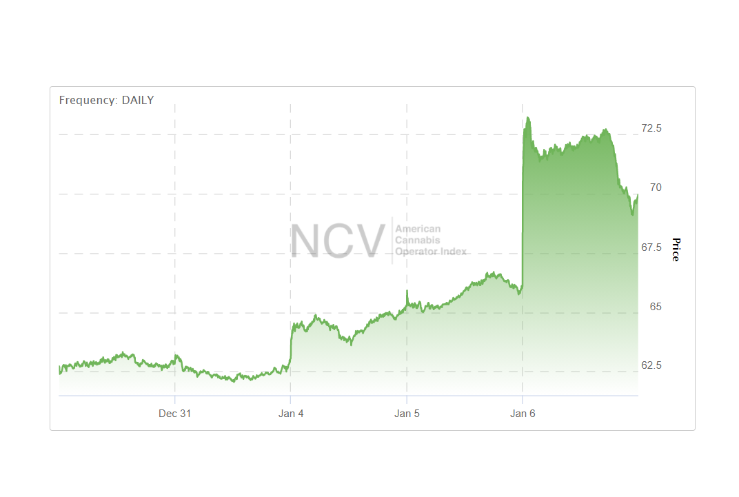 Cannabis stocks soar as Georgia Senate elections boost investor hopes for decriminalization