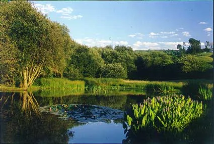 04.jpg