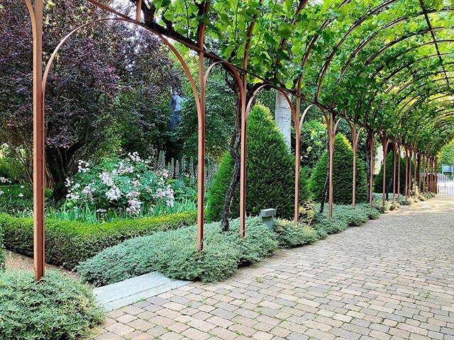 Esta p&eacute;rgola tiene ya quince a&ntilde;os. #marquesderiscal #paisajismo #luisgonzalezcamino #caminopaisajistas #jardines #gardendesign #landscapedesign