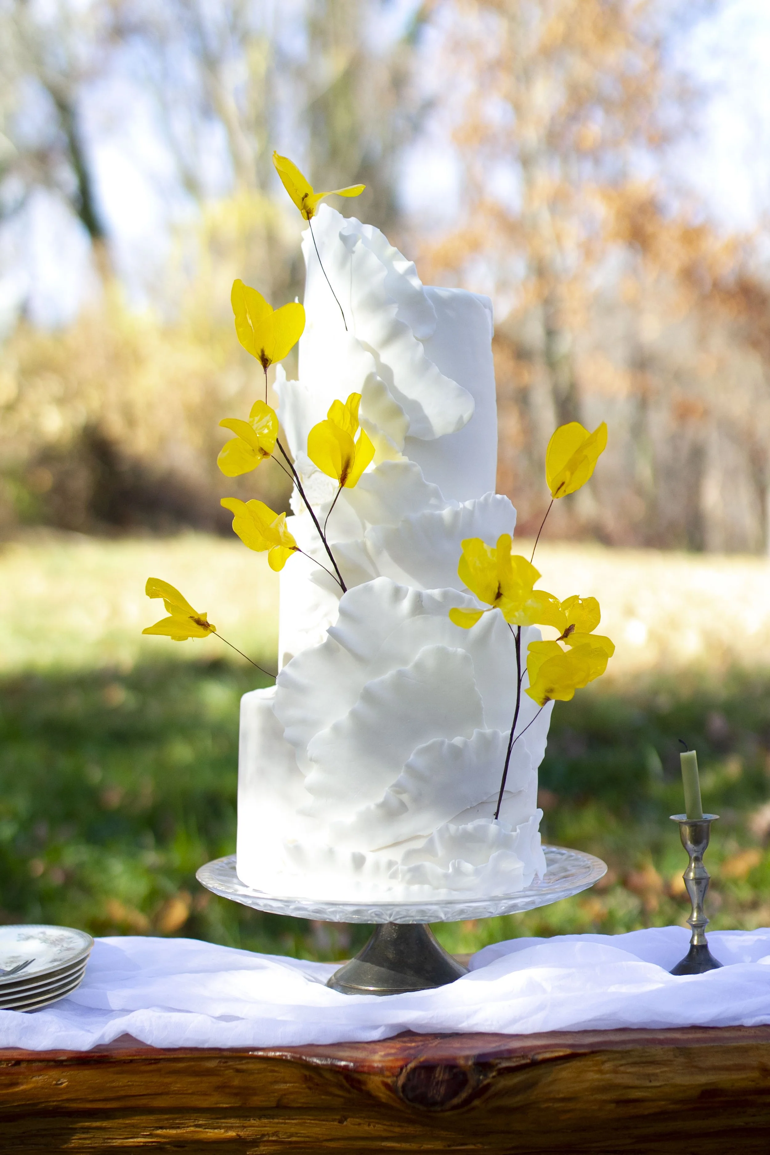 Final edited headshot.JPG