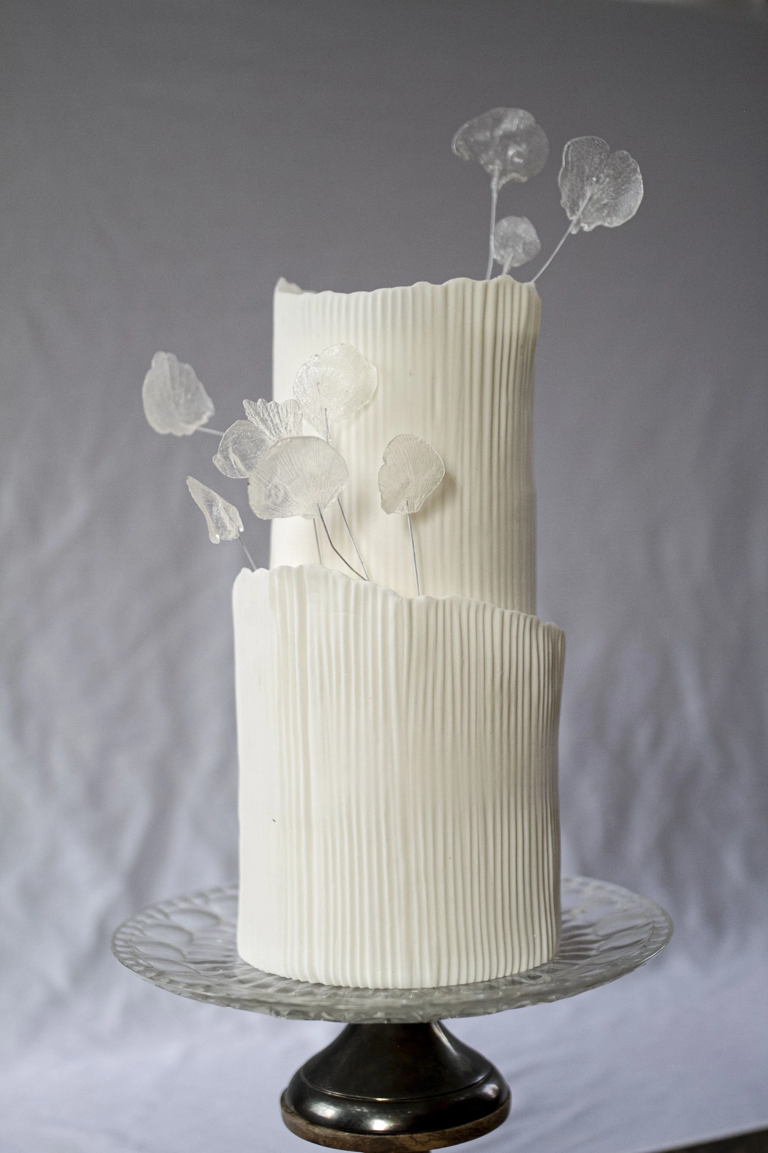 Final edited headshot.JPG