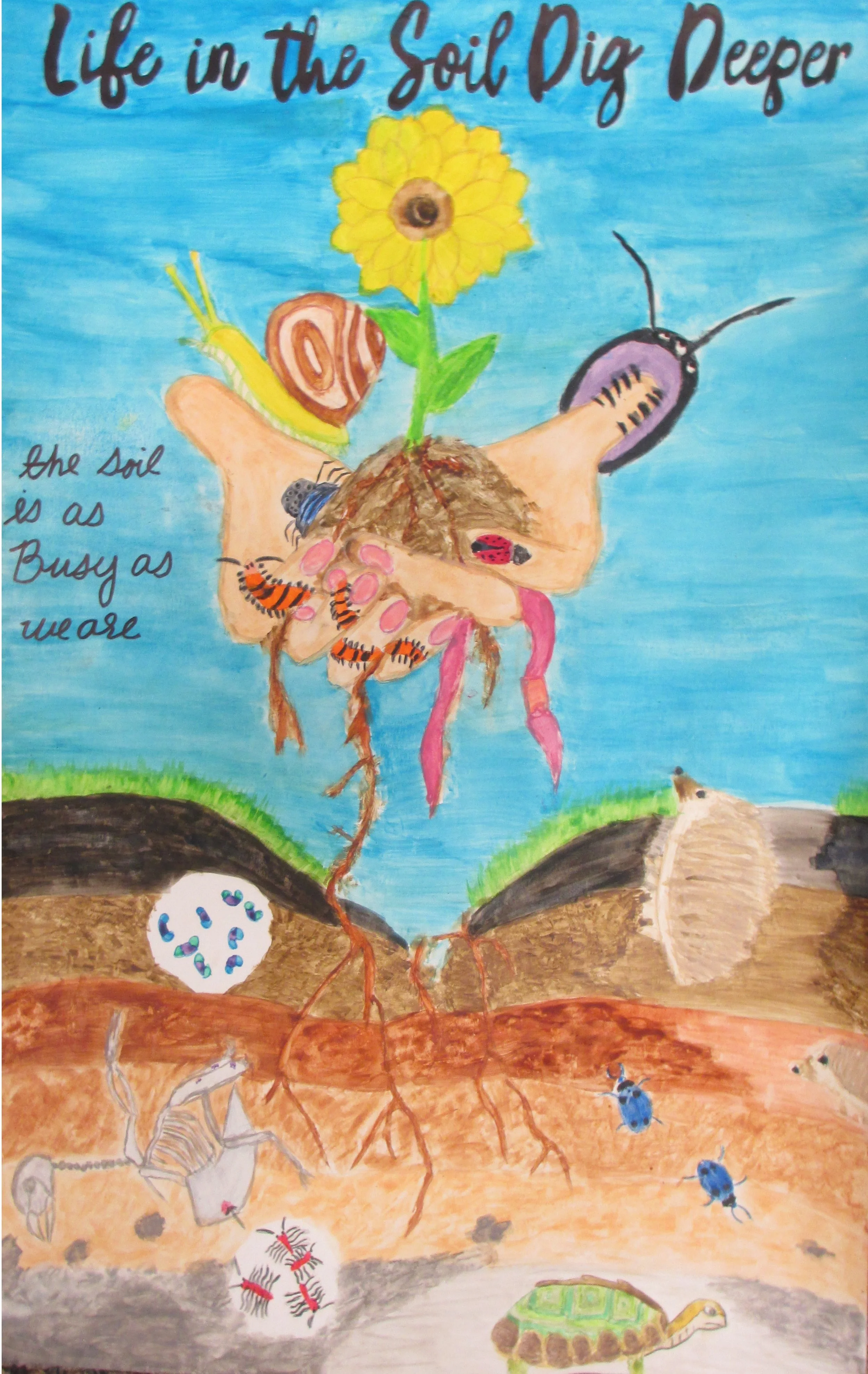 1st Place - Cindy R. (St. Michaels Middle/High)