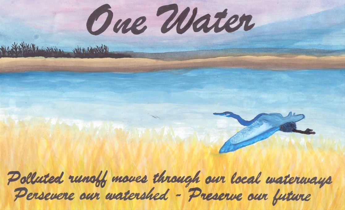 NACD Poster Contest — Talbot Soil Conservation District