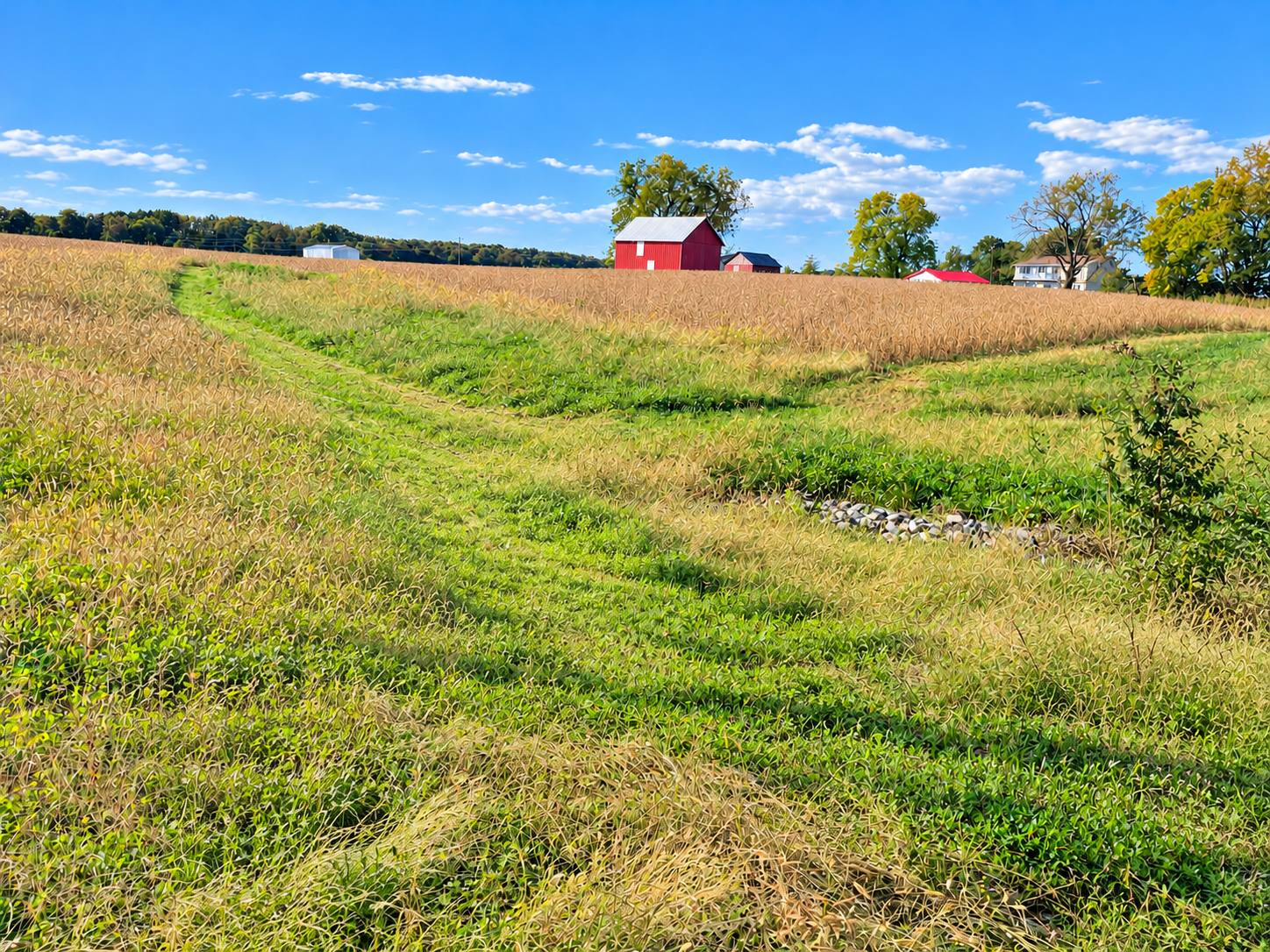 Grassy Path to Red Barns.png