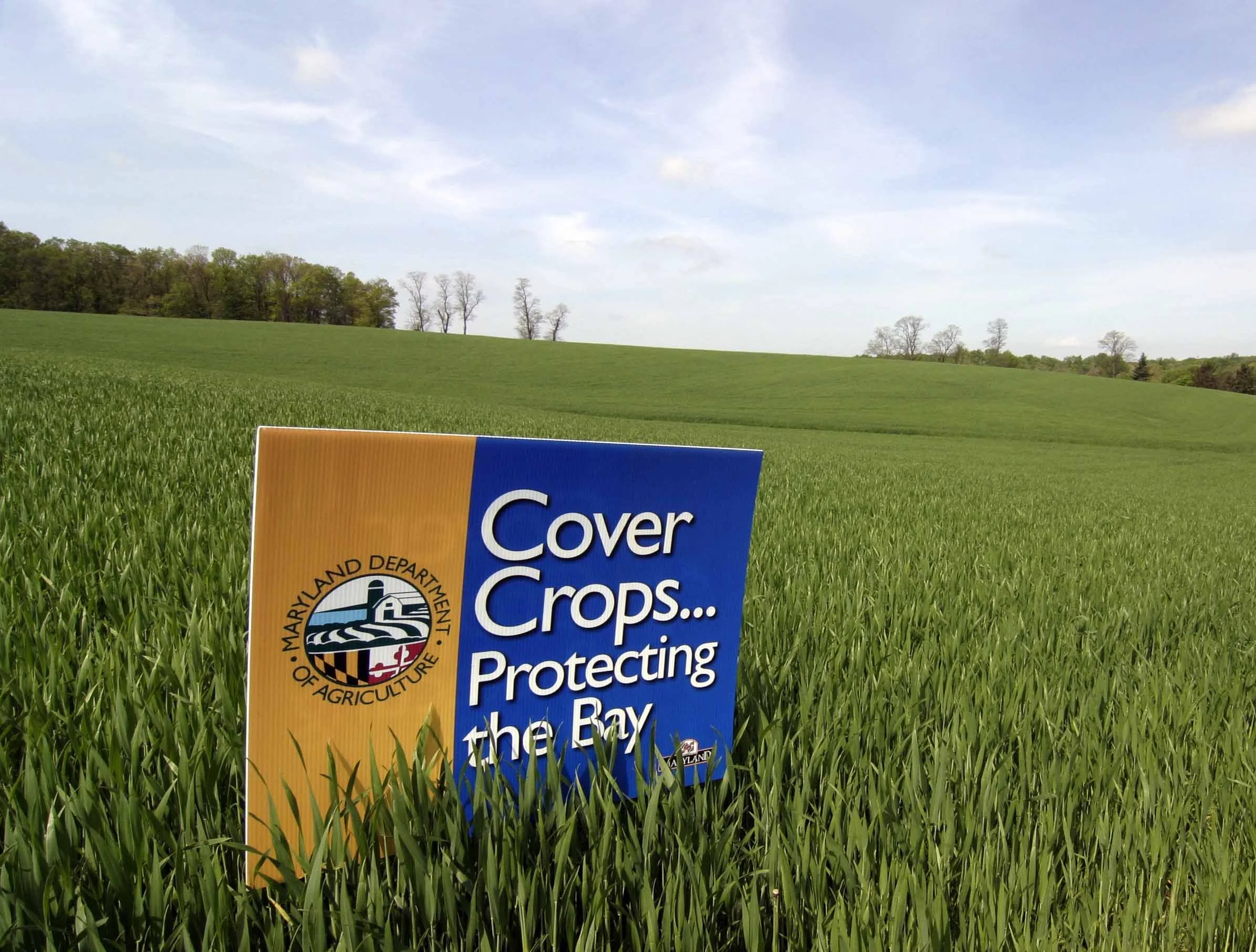covercropsign.jpg