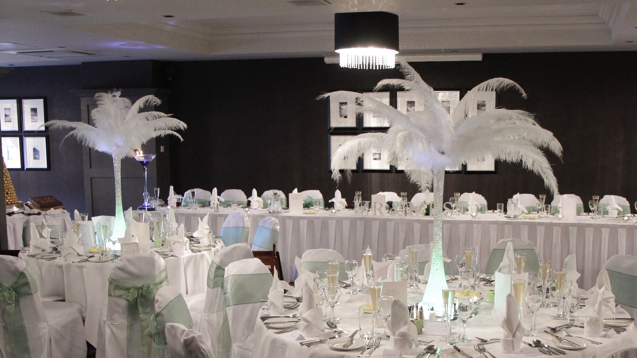 ostrich feather with vase.jpg