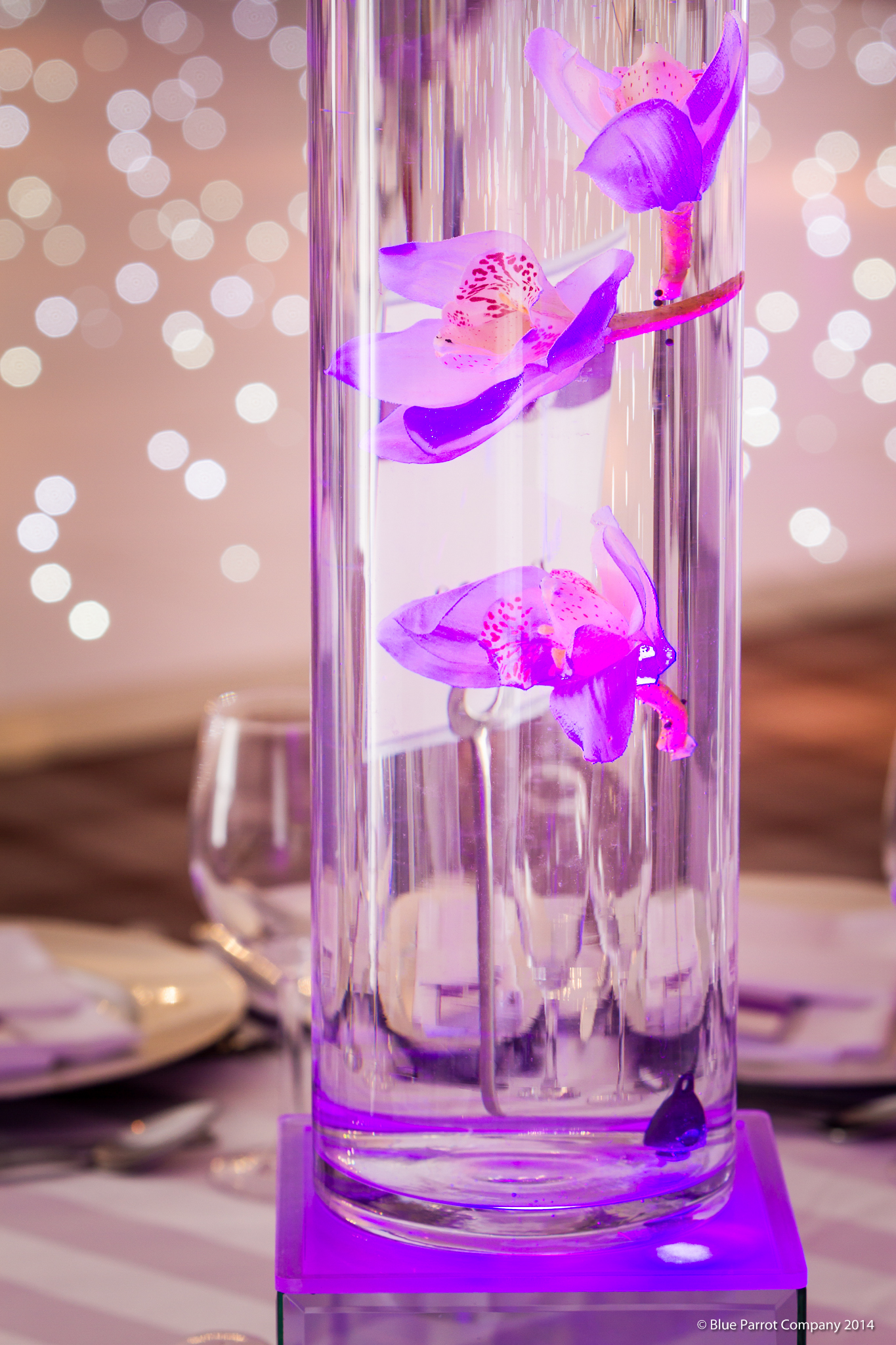 flower float1.jpg