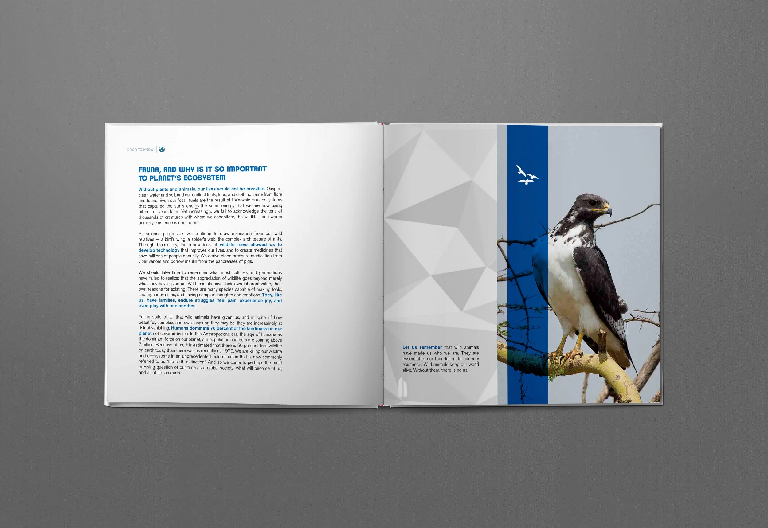 Ozone_Booklet_Spread_v3.jpg