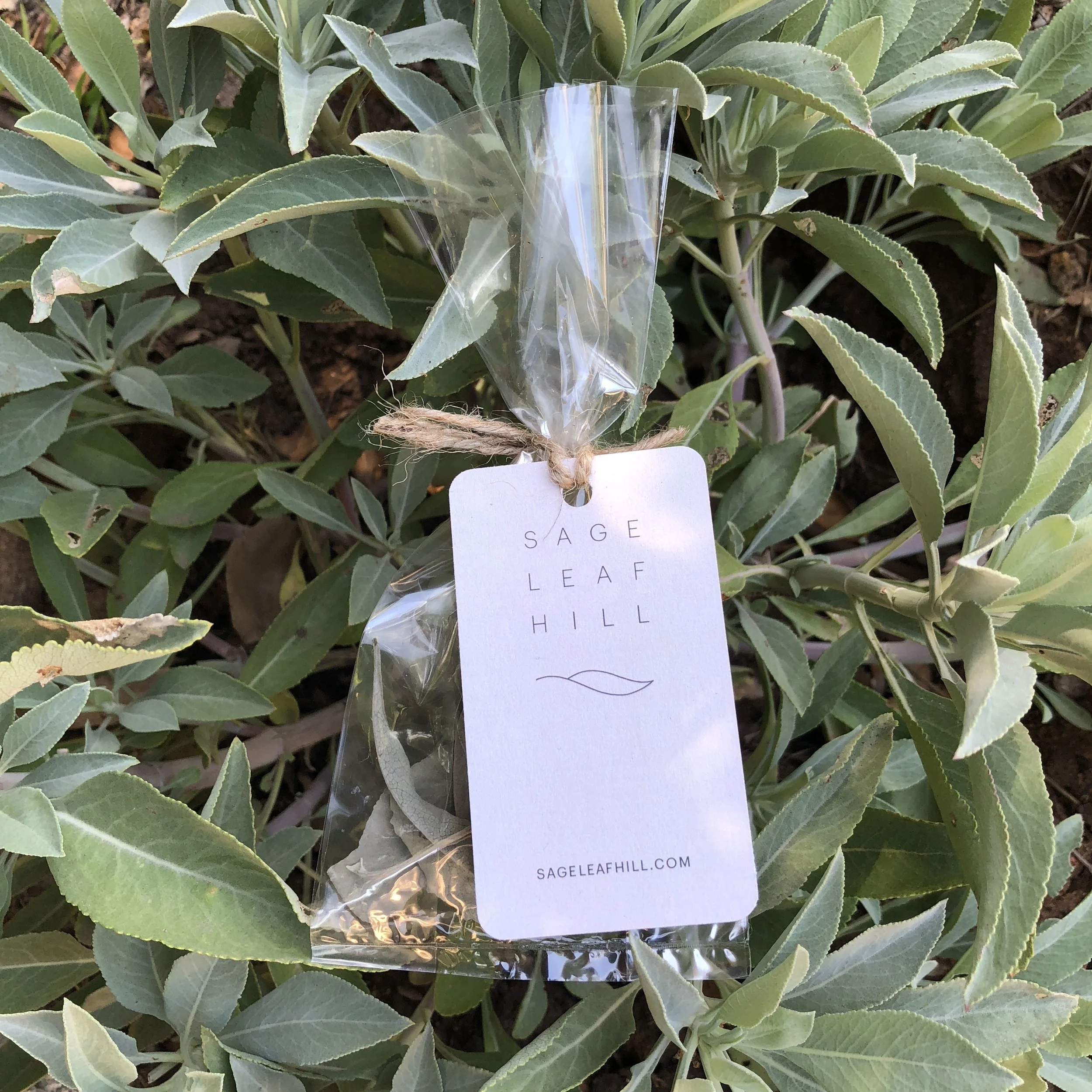 one_oz_loose_leaf_sage.JPG