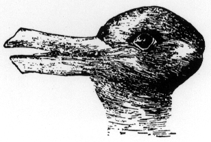 rabbitduck.gif