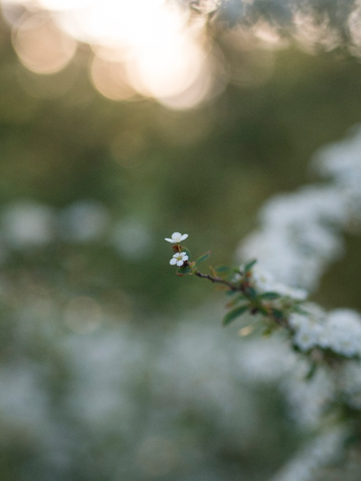 The Worth of Small Things