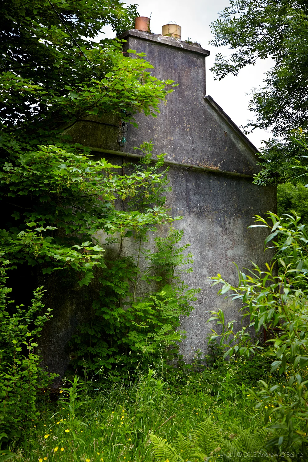 aob-studio-2013-ireland02650-catherinewaldronhome1.jpg
